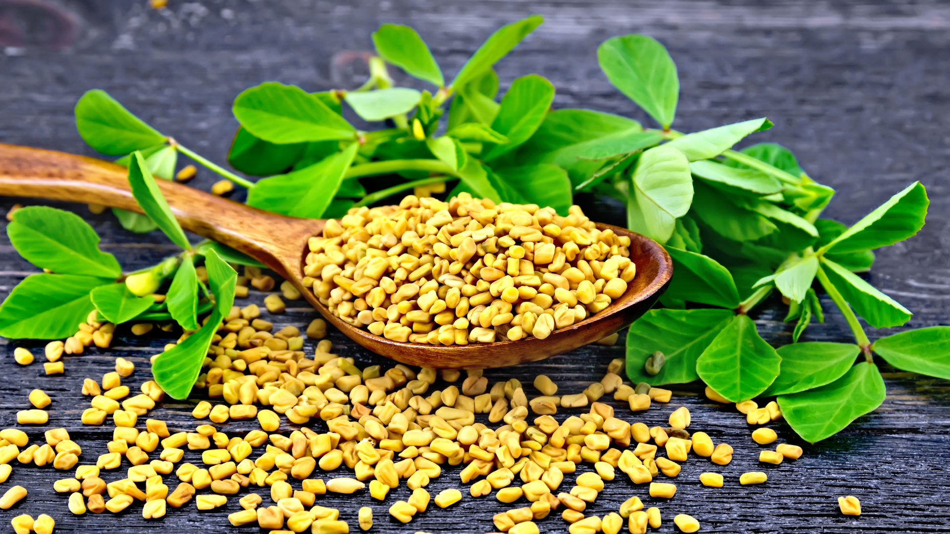 fenugreek seeds on a wooden tablespoon and some fenugreek leaves
