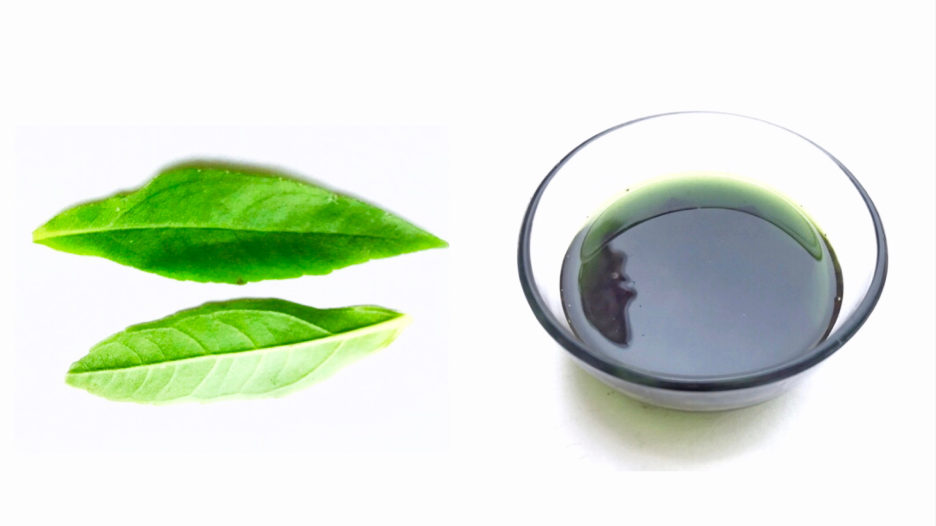 a glass bowl full of bhringraj oil and also some leaves of bhringraj