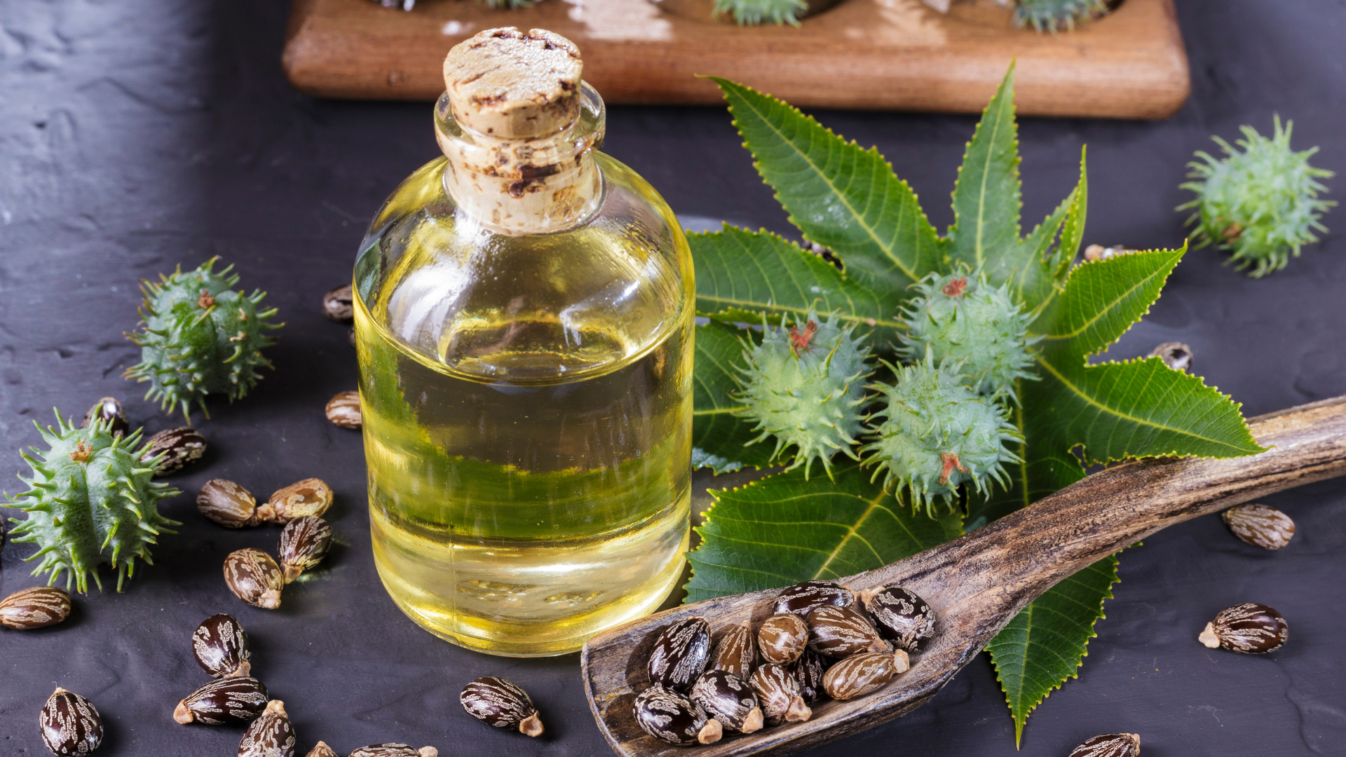 A bottle of castor oil and some castor seeds along with castor green fruit on a wooden table